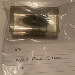 Tropical Black Cicada- China